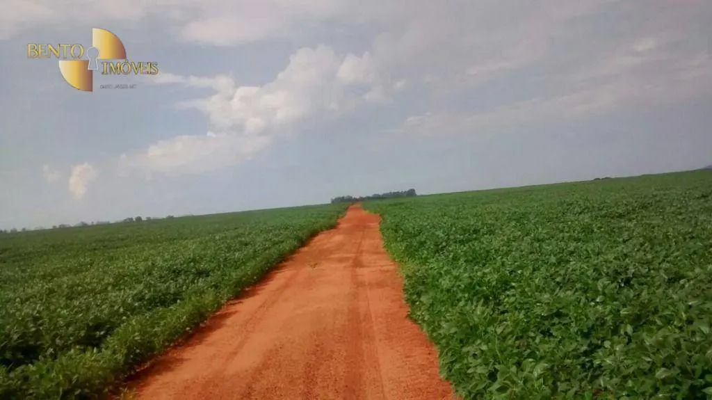 Fazenda à venda e para Arrendar de 2.461 ha em Rondonópolis, MT, Brasil