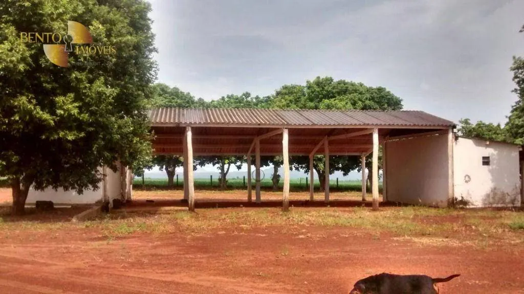 Fazenda à venda e para Arrendar de 2.461 ha em Rondonópolis, MT, Brasil