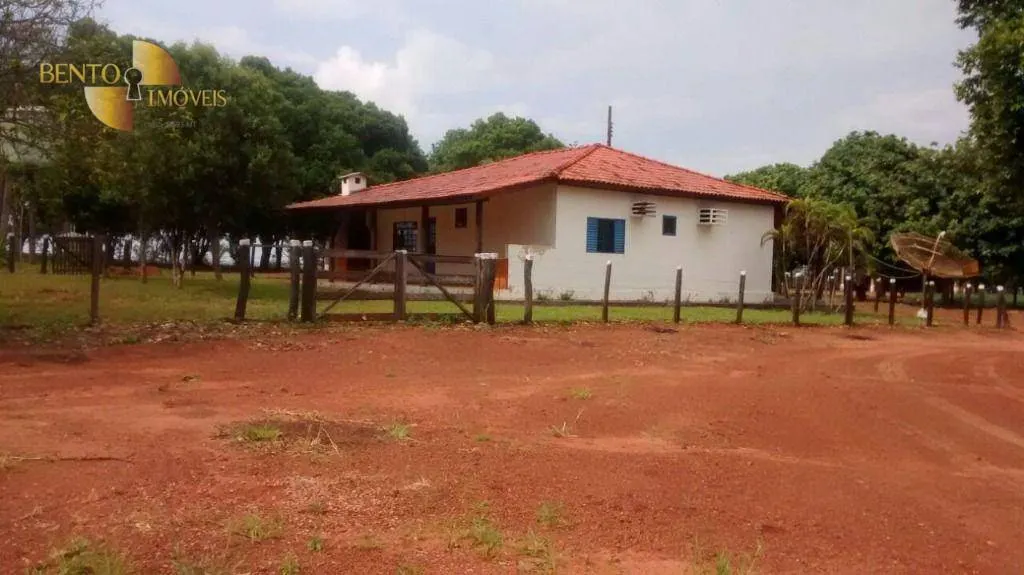 Fazenda à venda e para Arrendar de 2.461 ha em Rondonópolis, MT, Brasil