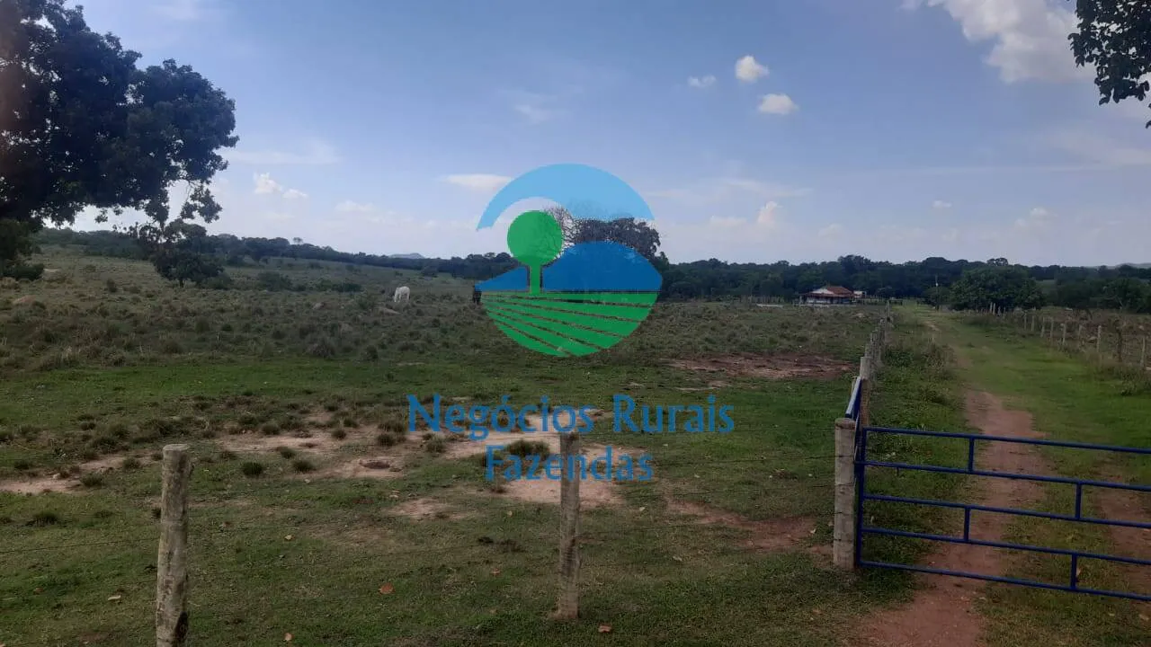 Fazenda à venda de 484 ha em Crixás, GO, Brasil