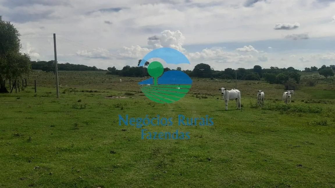 Fazenda à venda de 484 ha em Crixás, GO, Brasil