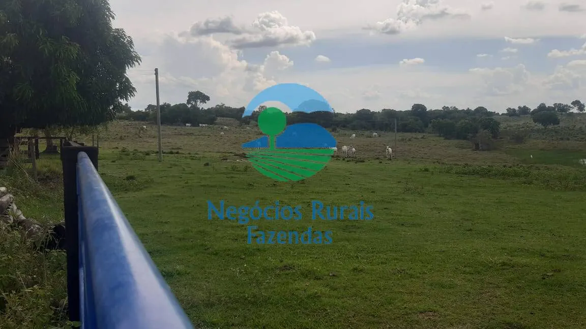 Fazenda à venda de 484 ha em Crixás, GO, Brasil