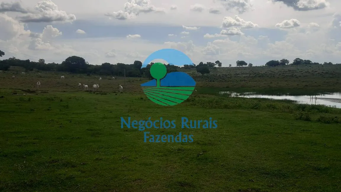 Fazenda à venda de 484 ha em Crixás, GO, Brasil