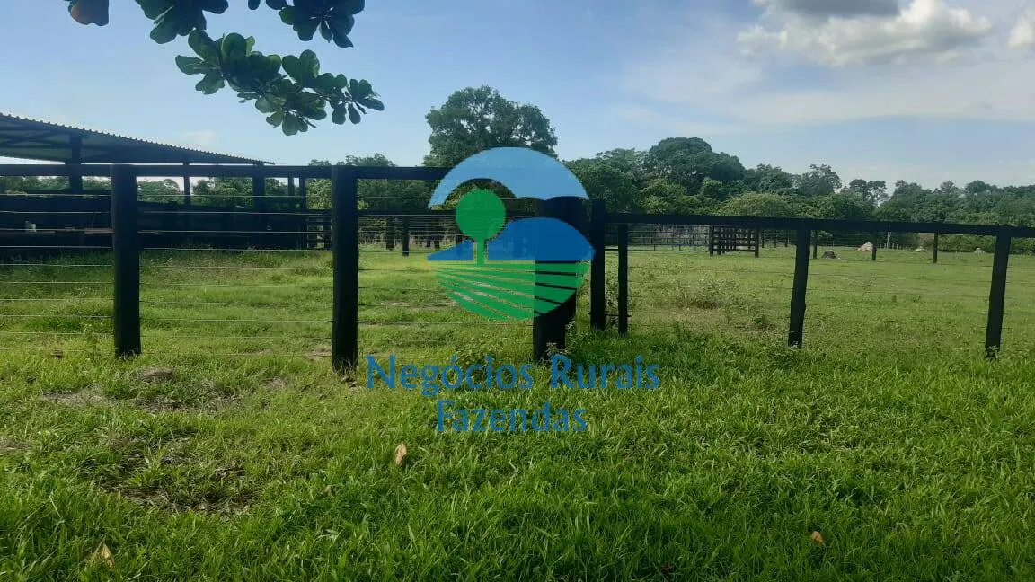 Fazenda à venda de 484 ha em Crixás, GO, Brasil