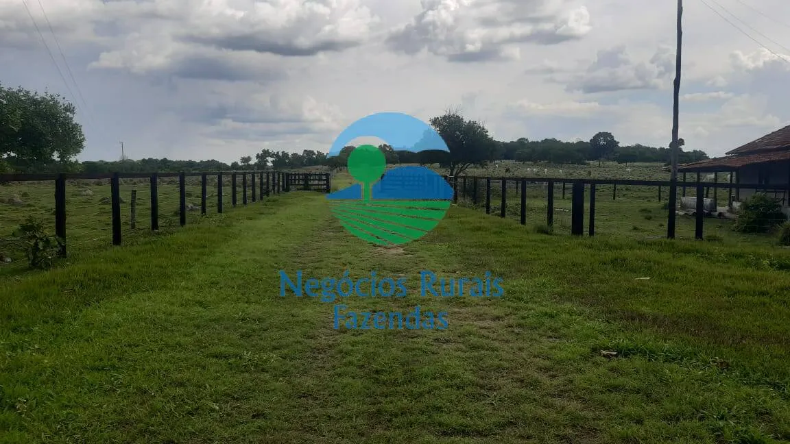 Fazenda à venda de 484 ha em Crixás, GO, Brasil