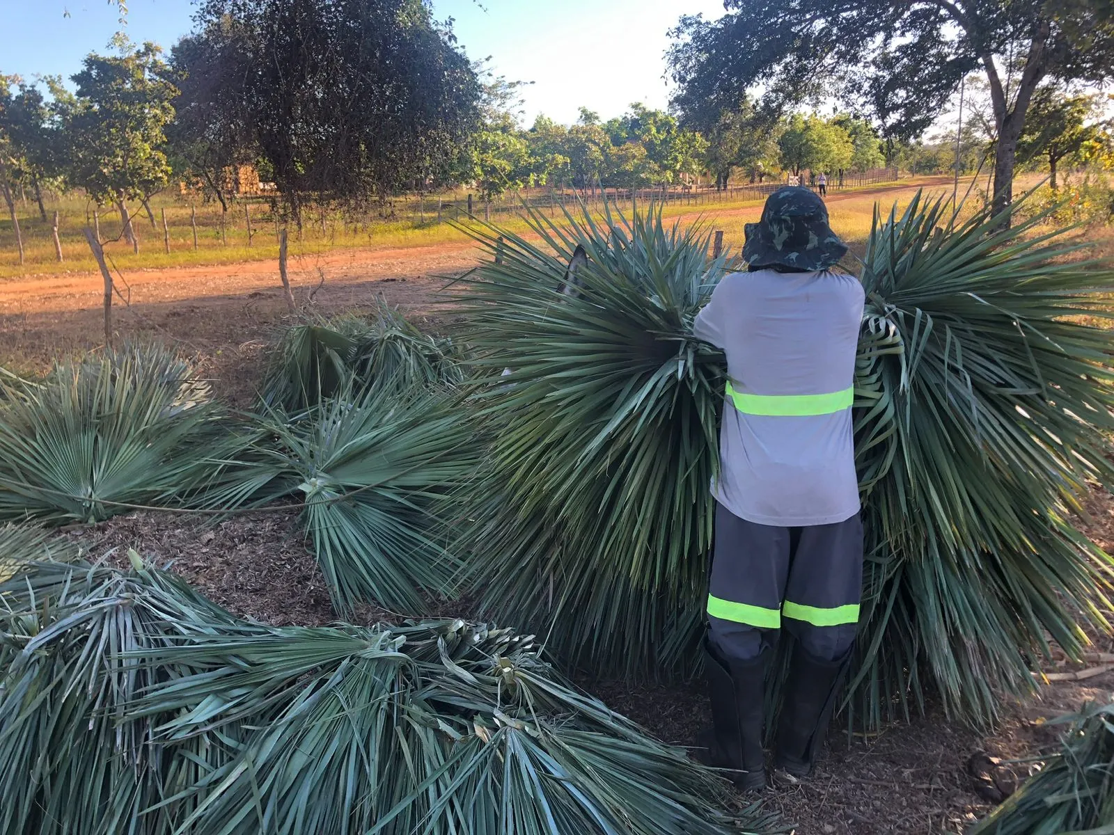 Fazenda à venda de 5.033 ha em Aroazes, PI, Brasil