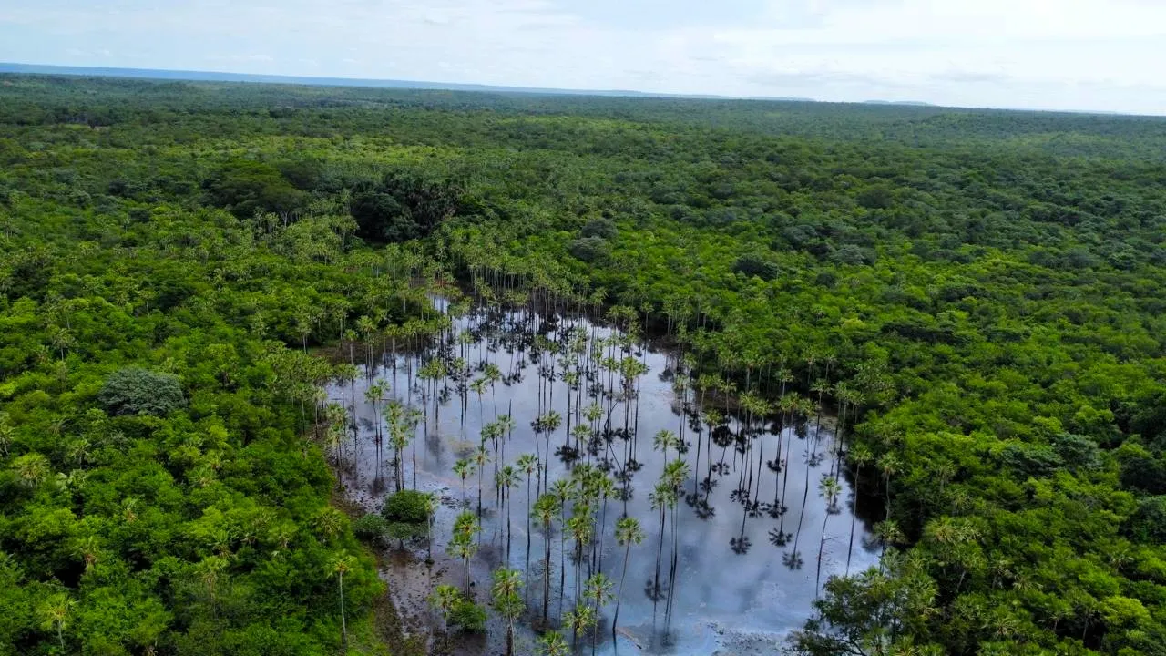 Fazenda à venda de 5.033 ha em Aroazes, PI, Brasil