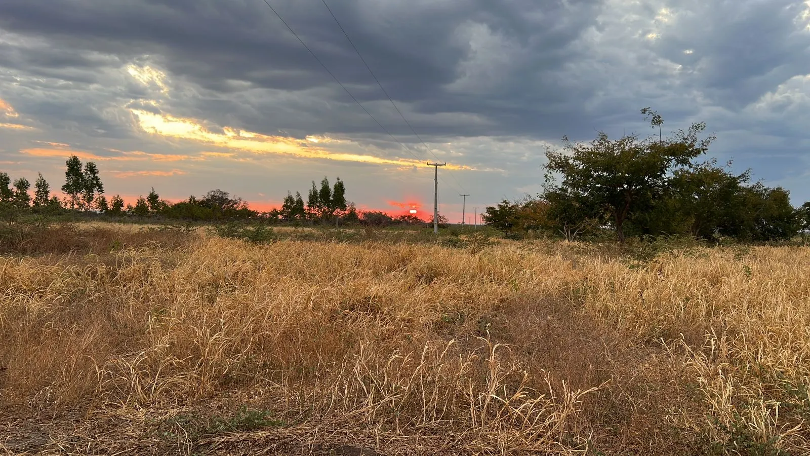 Fazenda à venda de 5.033 ha em Aroazes, PI, Brasil