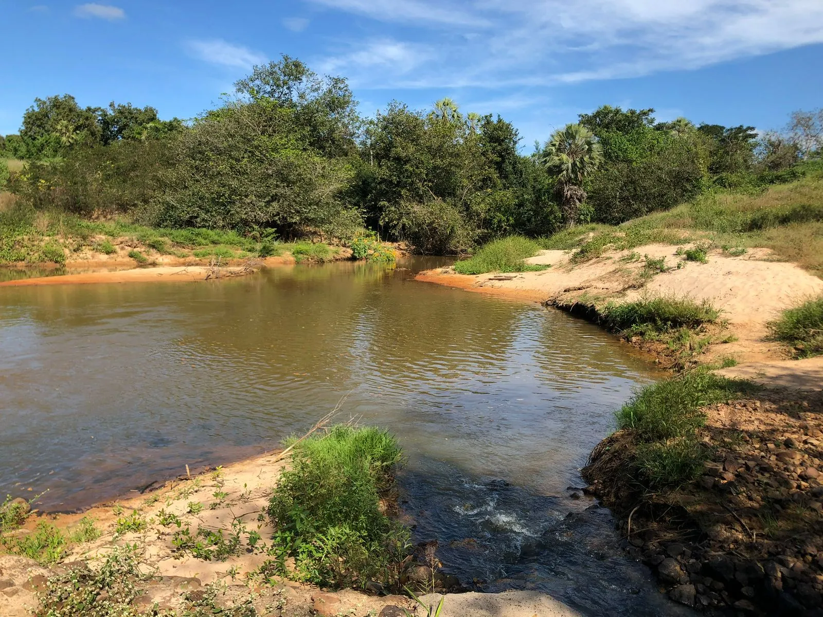Fazenda à venda de 5.033 ha em Aroazes, PI, Brasil