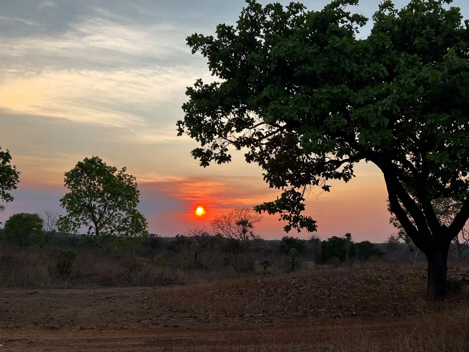 Fazenda à venda de 5.033 ha em Aroazes, PI, Brasil