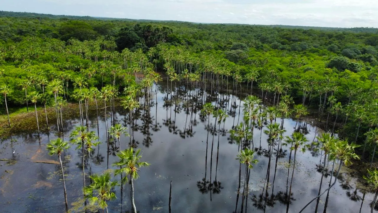 Fazenda à venda de 5.033 ha em Aroazes, PI, Brasil