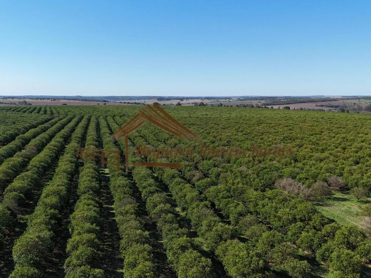 Fazenda à venda de 117 ha em Avaré, SP, Brasil