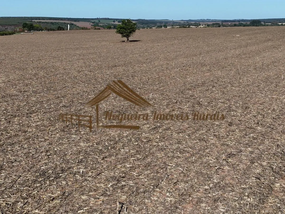 Fazenda à venda de 117 ha em Avaré, SP, Brasil