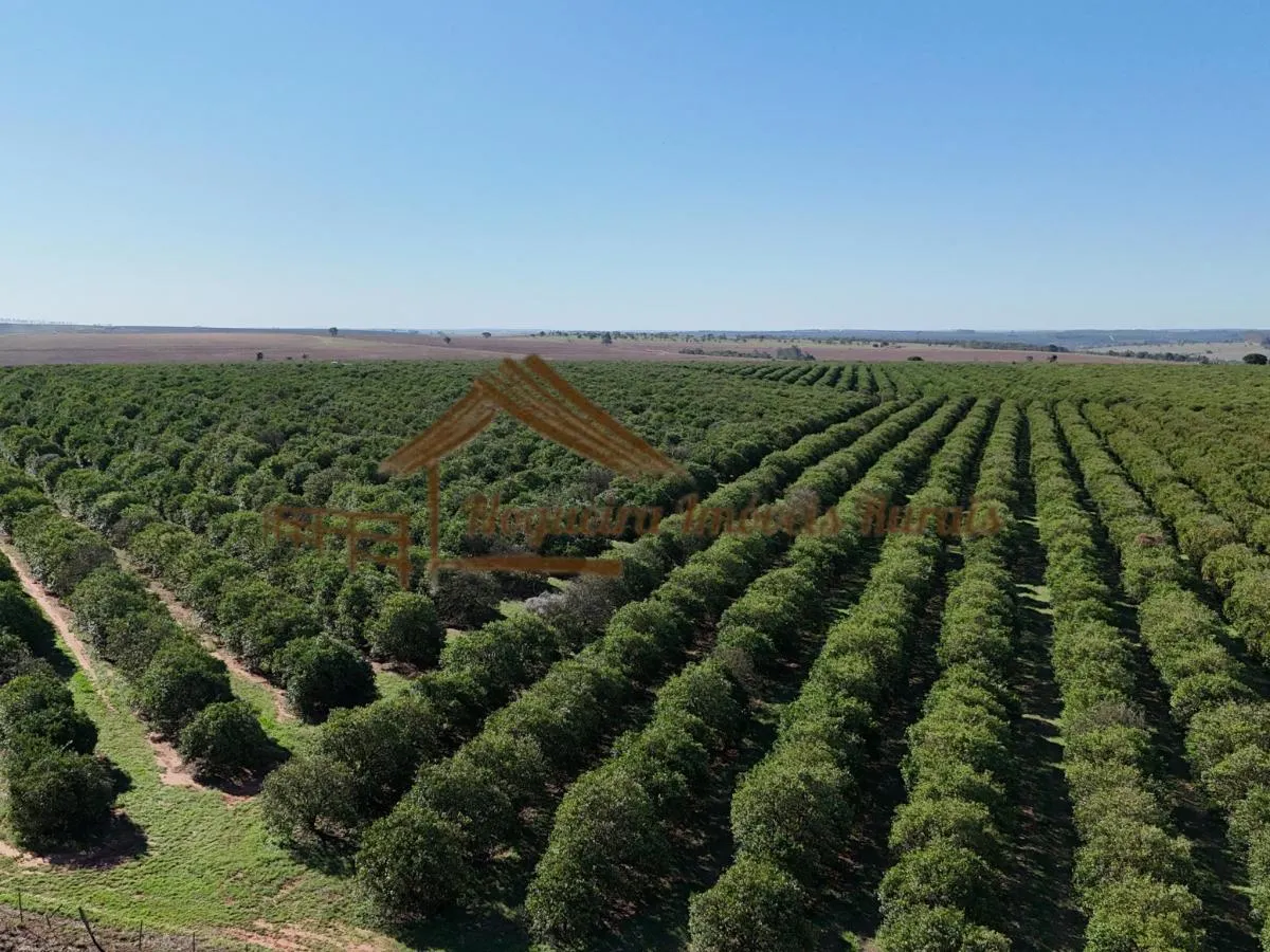 Fazenda à venda de 117 ha em Avaré, SP, Brasil