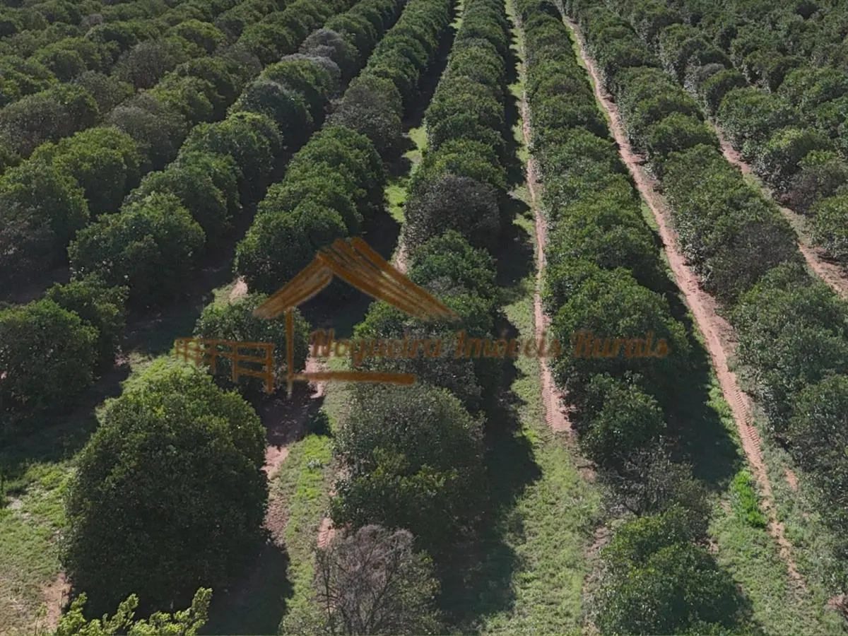 Fazenda à venda de 117 ha em Avaré, SP, Brasil