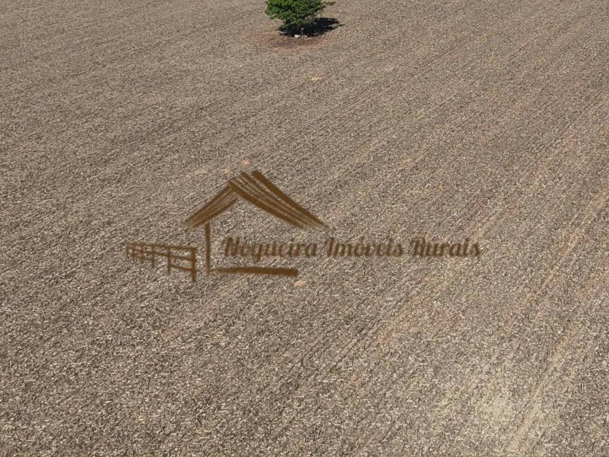 Fazenda à venda de 117 ha em Avaré, SP, Brasil