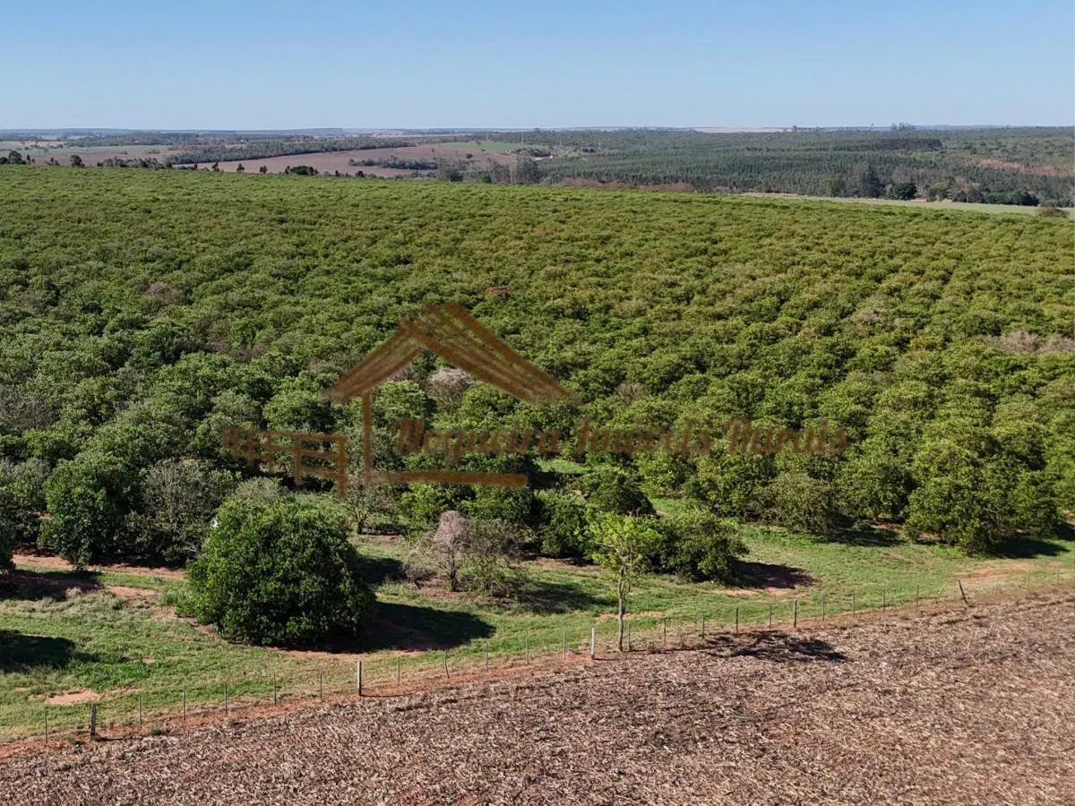 Fazenda à venda de 117 ha em Avaré, SP, Brasil