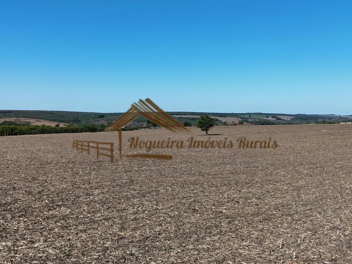 Fazenda à venda de 117 ha em Avaré, SP, Brasil