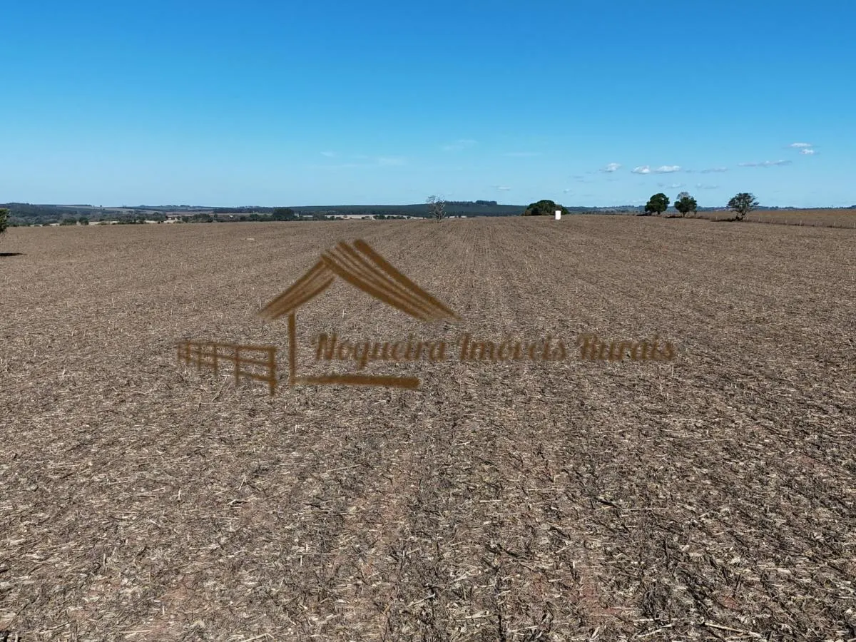 Fazenda à venda de 117 ha em Avaré, SP, Brasil