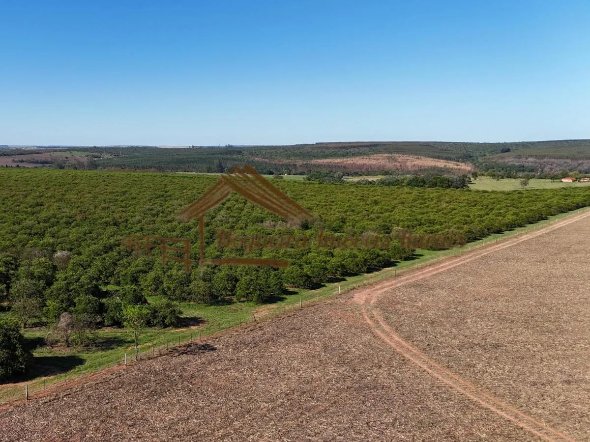 Fazenda à venda de 117 ha em Avaré, SP, Brasil