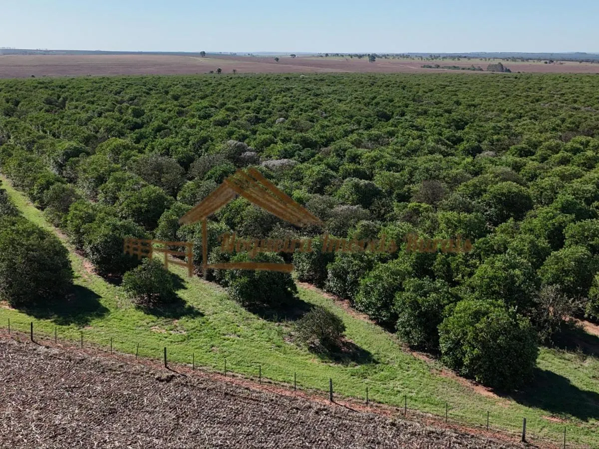 Fazenda à venda de 117 ha em Avaré, SP, Brasil