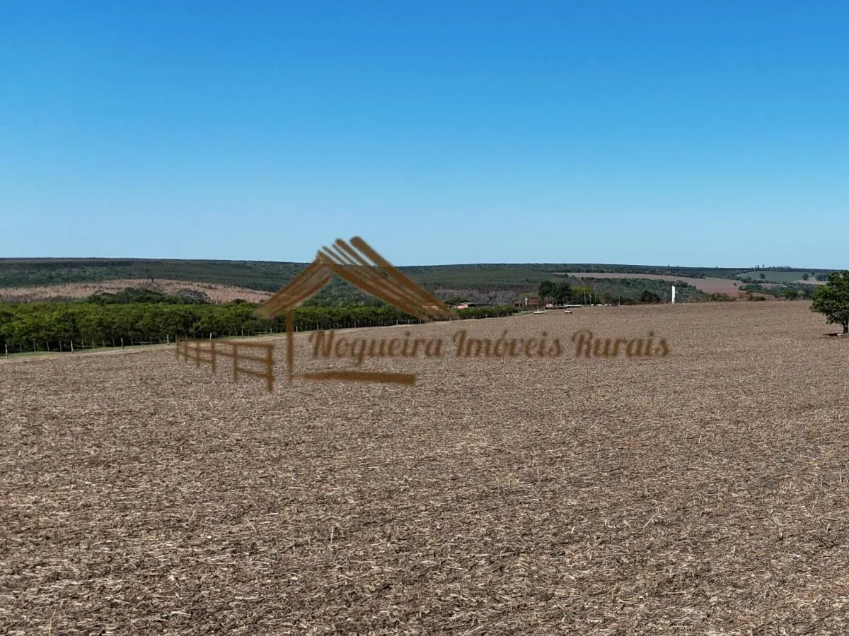 Fazenda à venda de 117 ha em Avaré, SP, Brasil