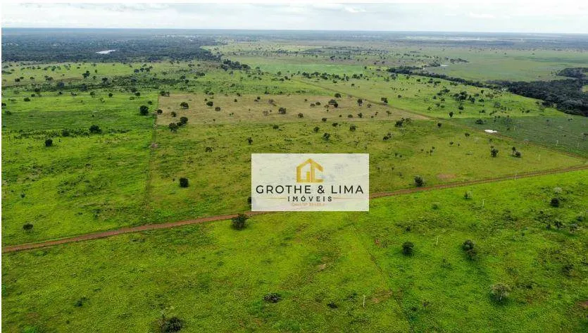 Fazenda à venda de 7.696 ha em Formoso do Araguaia, TO, Brasil