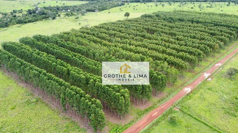 Fazenda à venda de 7.696 ha em Formoso do Araguaia, TO, Brasil