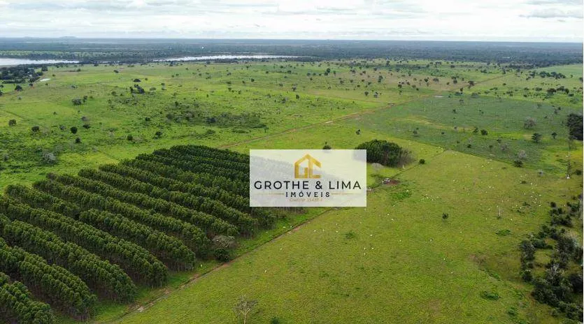 Fazenda à venda de 7.696 ha em Formoso do Araguaia, TO, Brasil