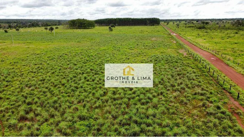 Fazenda à venda de 7.696 ha em Formoso do Araguaia, TO, Brasil