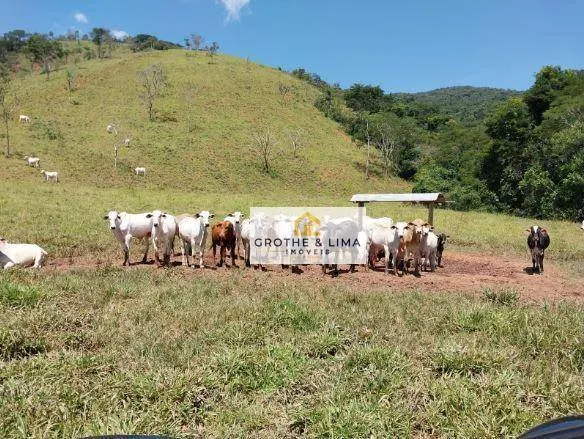 Fazenda à venda de 499 ha em Roseira, SP, Brasil
