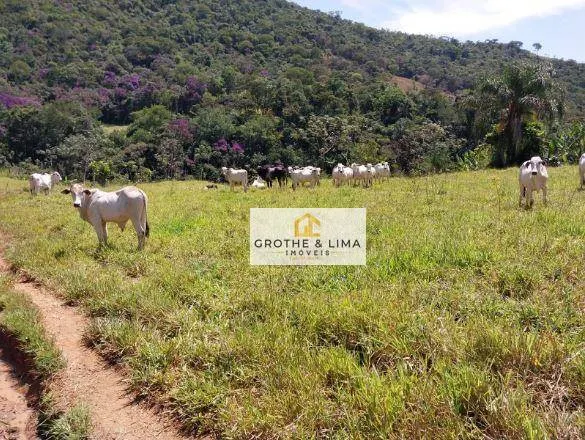 Fazenda à venda de 499 ha em Roseira, SP, Brasil