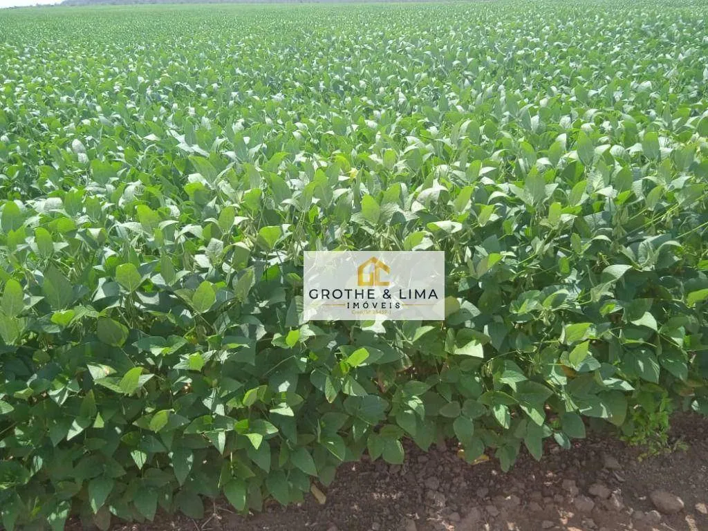 Farm for sale of 12,355 acres in Balsas, MA, Brazil