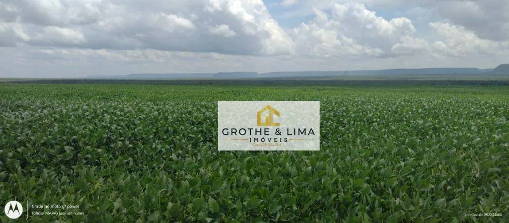 Farm for sale of 12,355 acres in Balsas, MA, Brazil