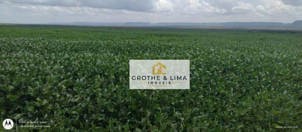 Farm for sale of 12,355 acres in Balsas, MA, Brazil