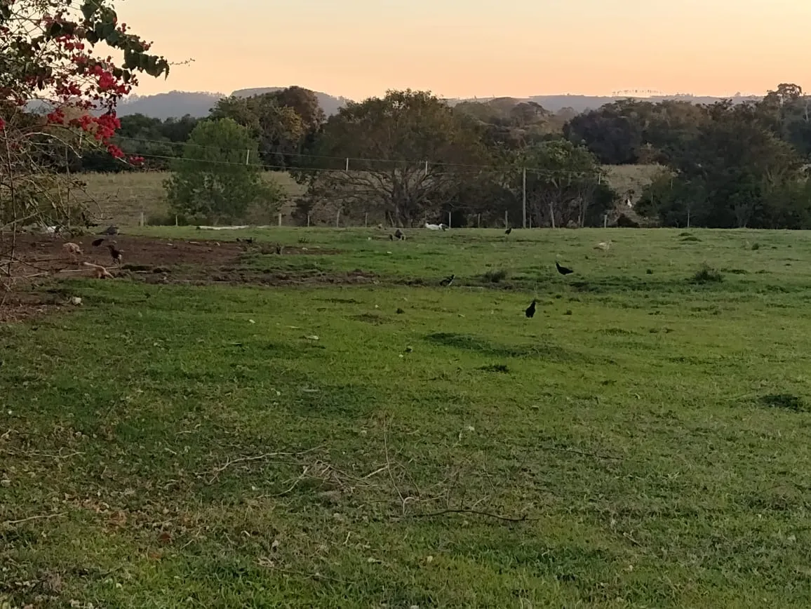 Chácara à venda de 7 ha em Guareí, SP, Brasil