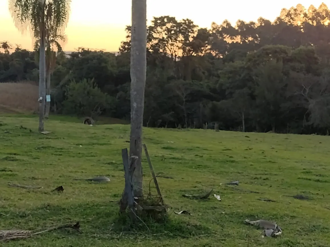 Chácara à venda de 7 ha em Guareí, SP, Brasil