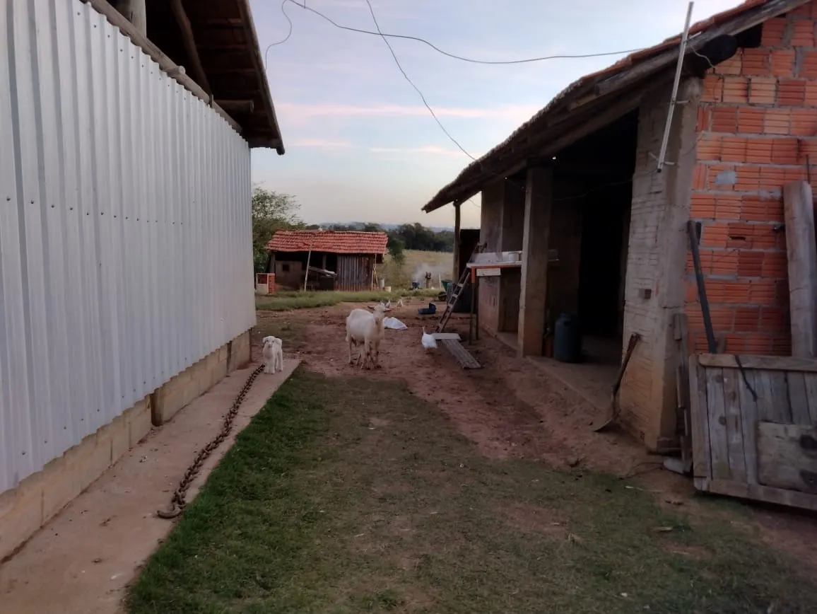 Chácara à venda de 7 ha em Guareí, SP, Brasil