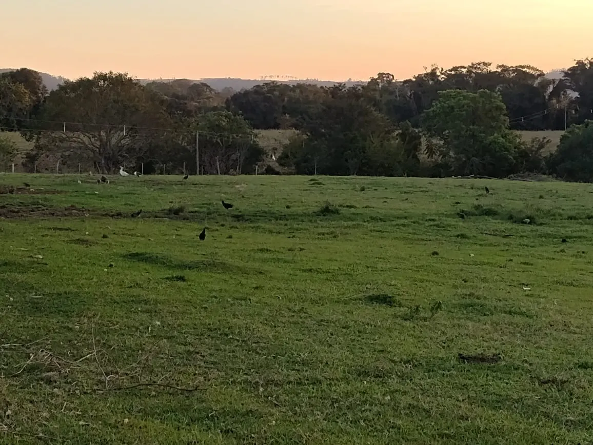 Chácara à venda de 7 ha em Guareí, SP, Brasil