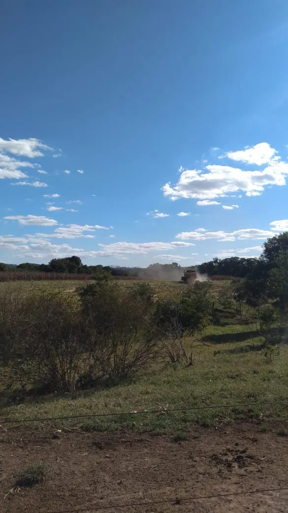 Chácara à venda de 7 ha em Guareí, SP, Brasil