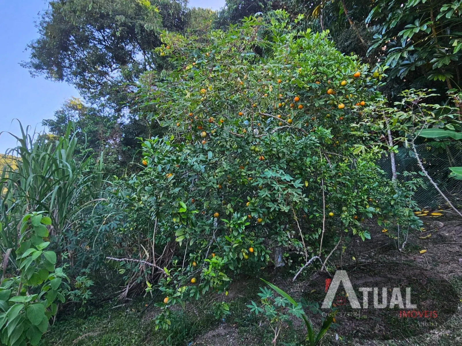 House for sale of 2 acres in Atibaia, SP, Brazil