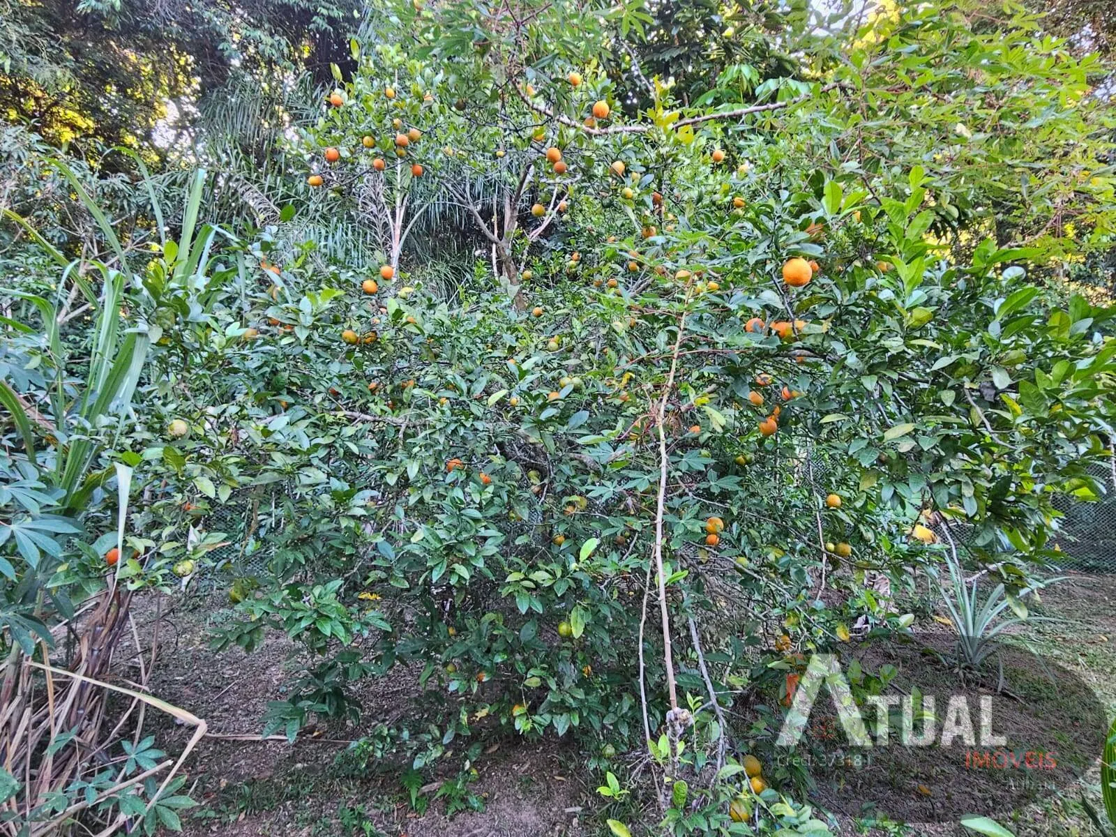 House for sale of 2 acres in Atibaia, SP, Brazil