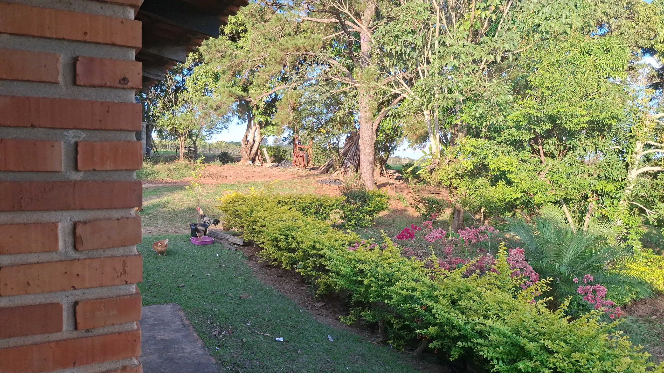 Sítio à venda de 44 ha em Piraju, SP, Brasil