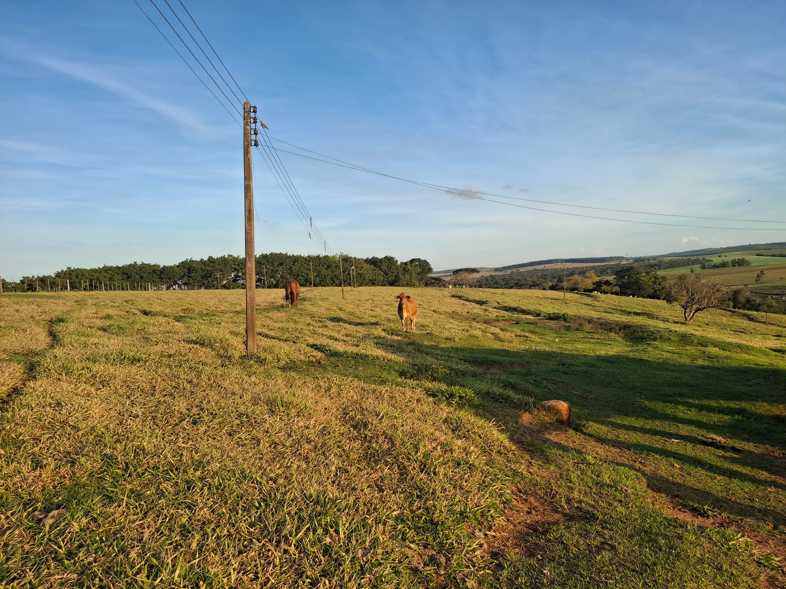 Sítio à venda de 44 ha em Piraju, SP, Brasil