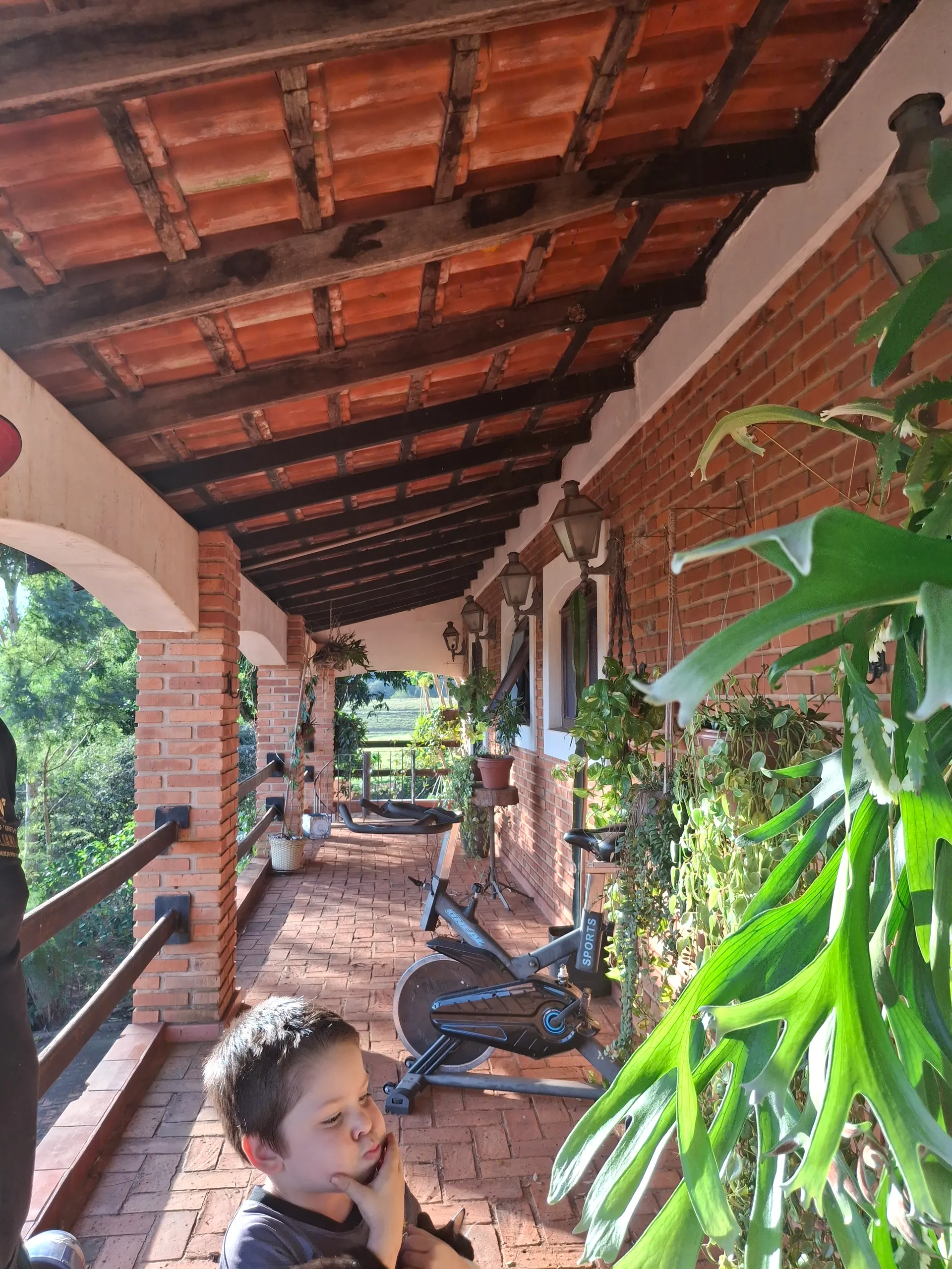 Sítio à venda de 44 ha em Piraju, SP, Brasil