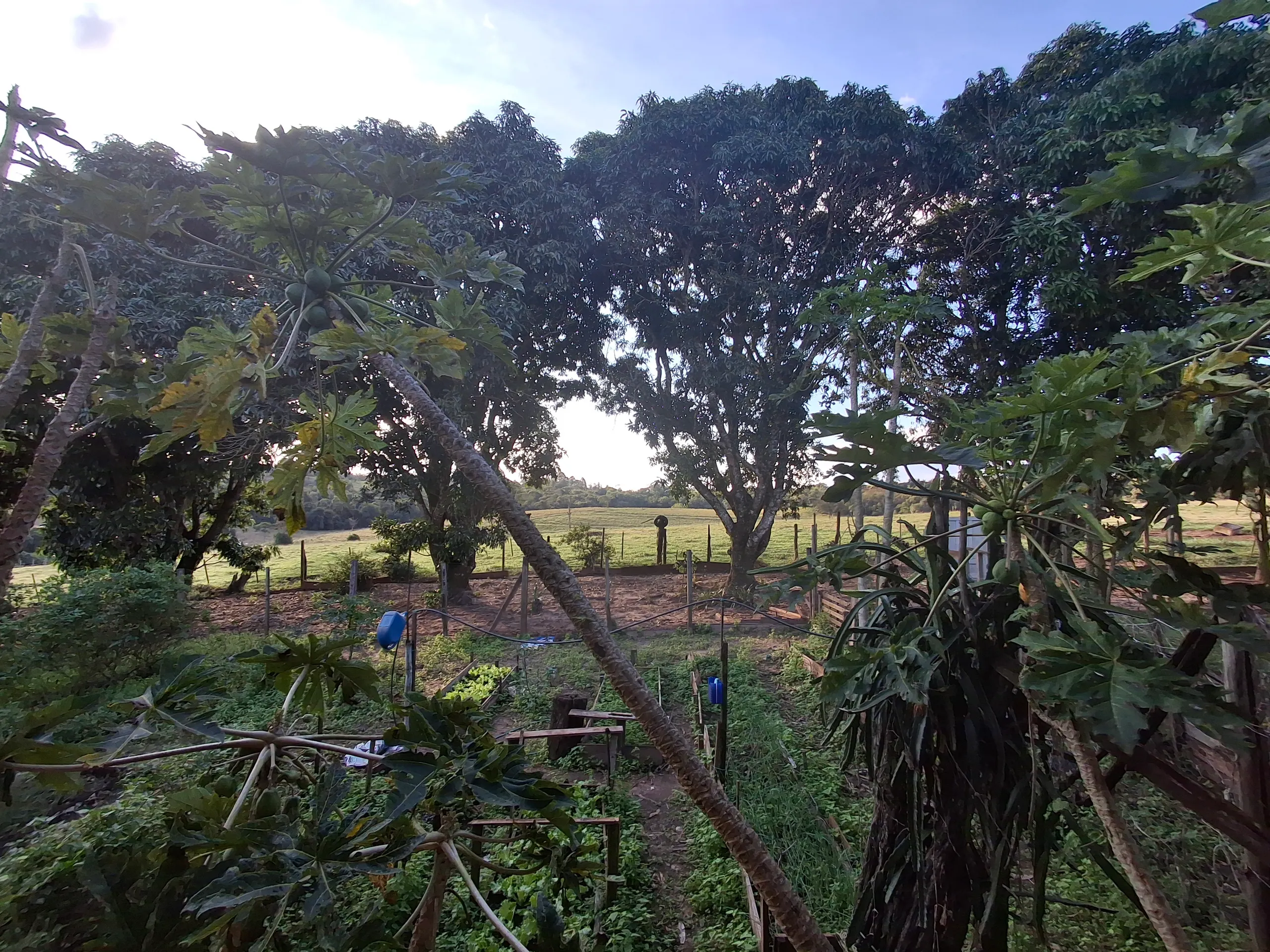 Sítio à venda de 44 ha em Piraju, SP, Brasil