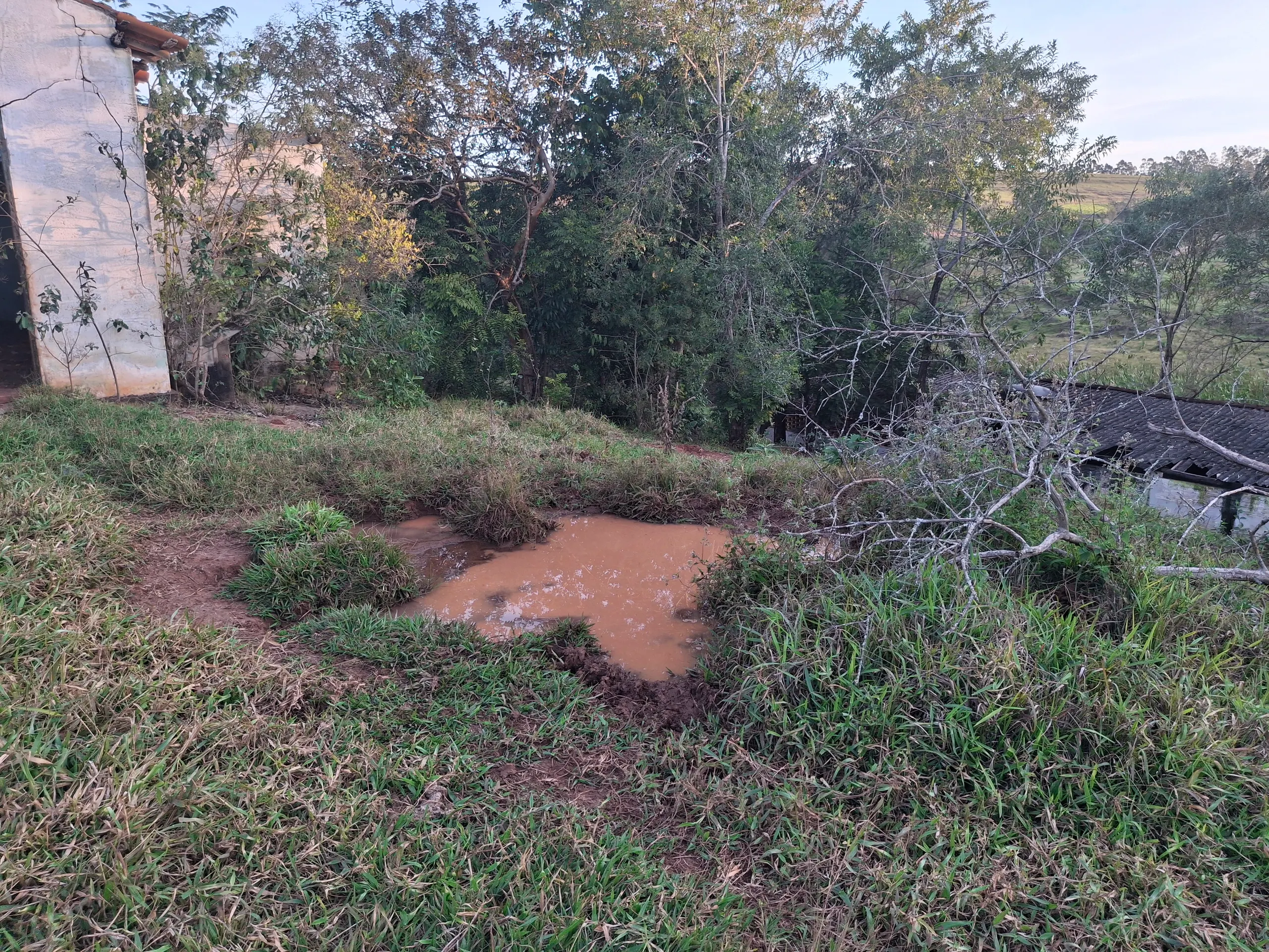 Sítio à venda de 44 ha em Piraju, SP, Brasil