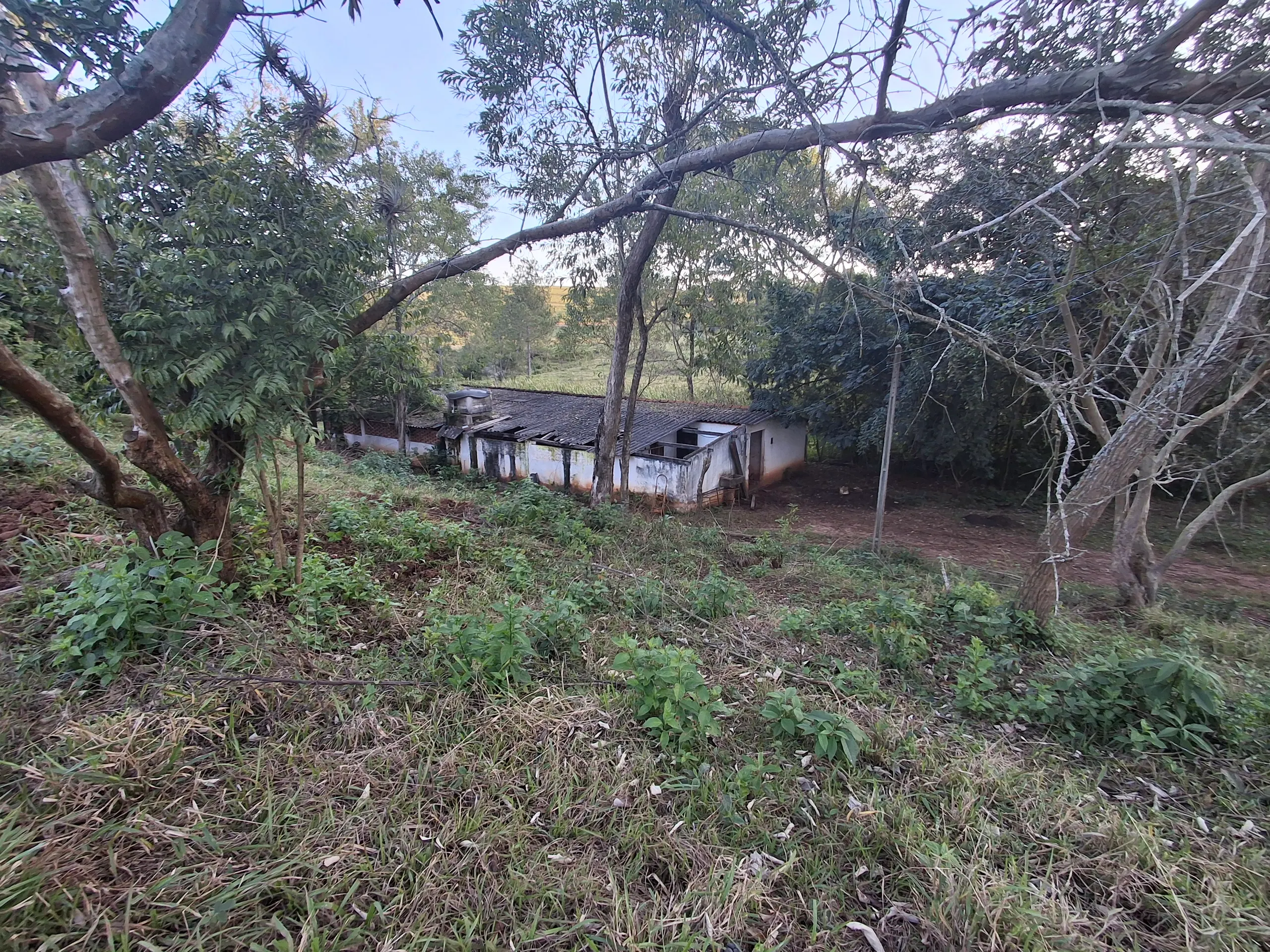 Sítio à venda de 44 ha em Piraju, SP, Brasil