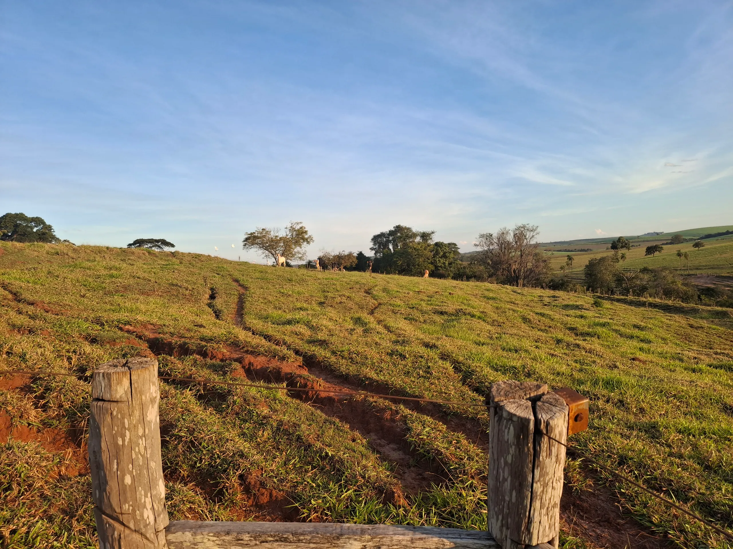 Sítio à venda de 44 ha em Piraju, SP, Brasil