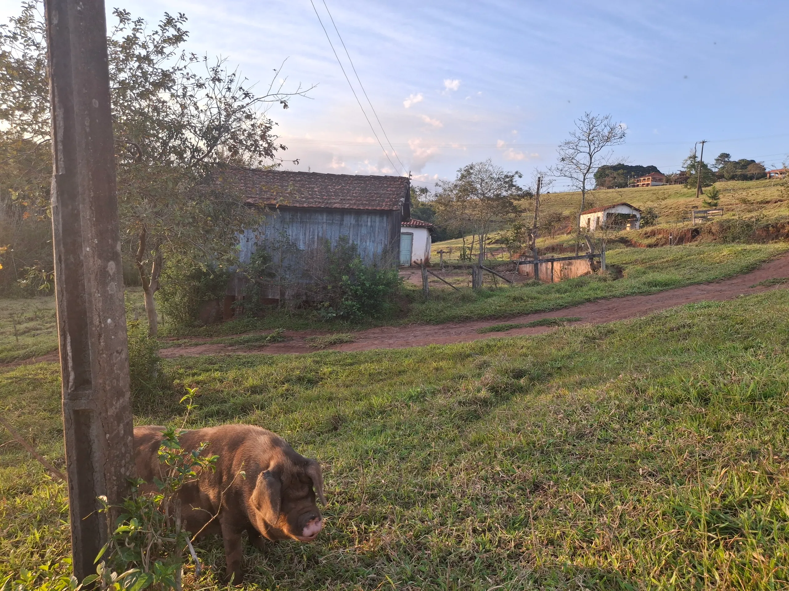 Sítio à venda de 44 ha em Piraju, SP, Brasil